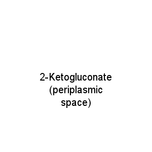 2-Ketogluconate(periplasmic space)
